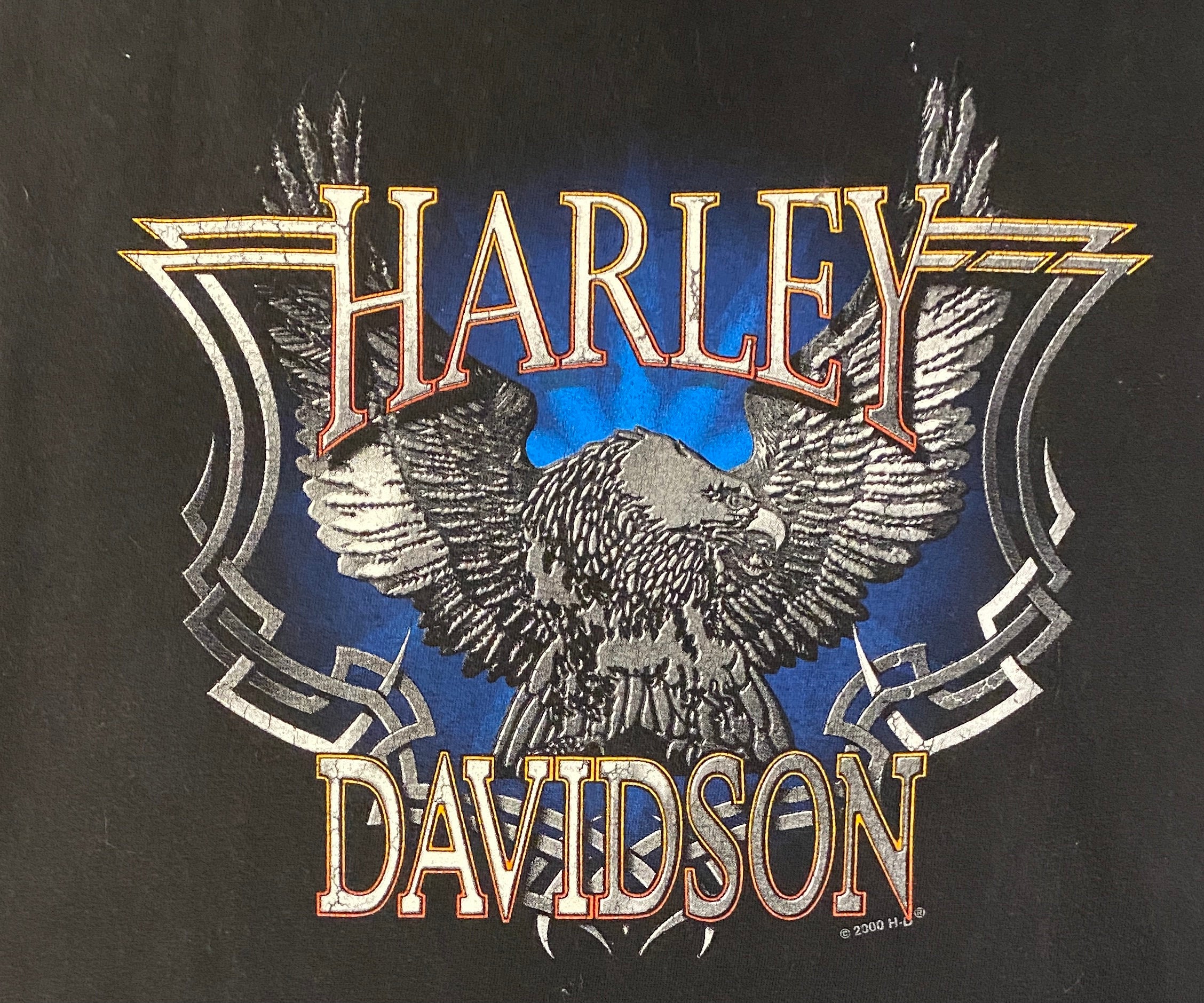 Harley Davidson Orlando, Florida Graphic Tee | Size X-Large