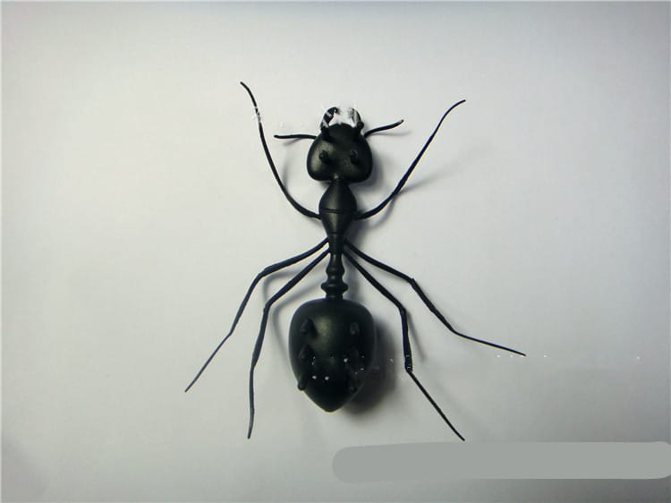 Solar Ant Pet Toy