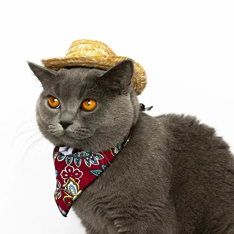 Western Straw Cowboy Hat for Cats