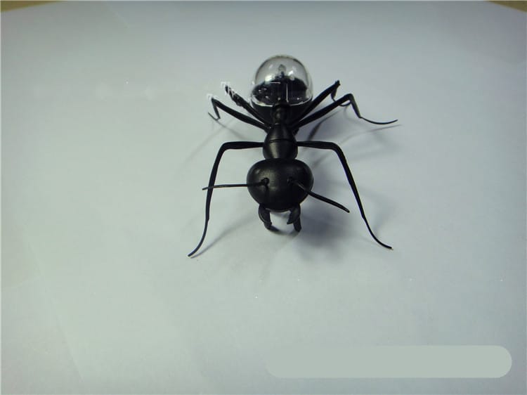 Solar Ant Pet Toy