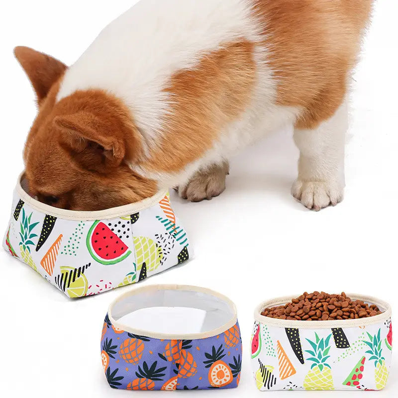 Washable Foldable Dog Bowl