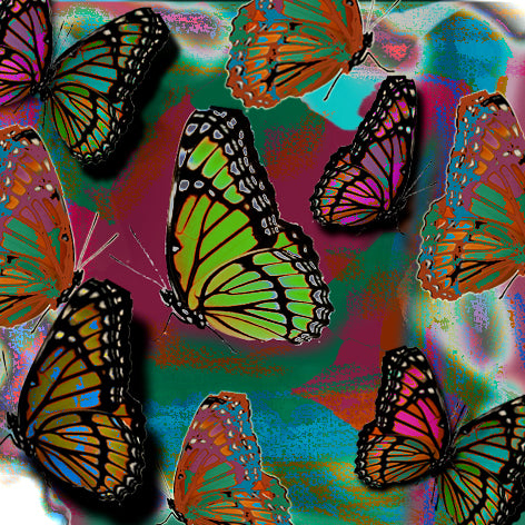 butterfly background image