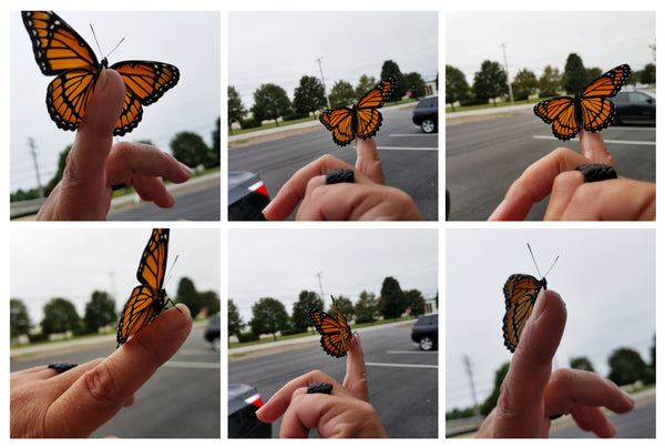 butterfly collage