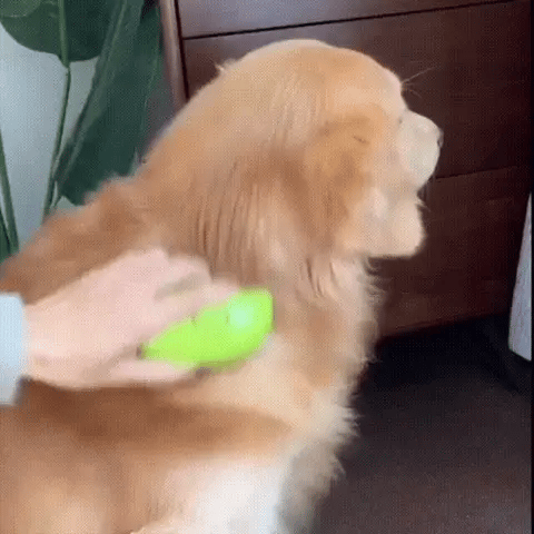 Cepillo Vaporizador 3 en 1 para Mascotas – Nau Tienda