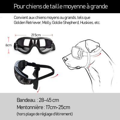 lunette de soleil pour chien taille