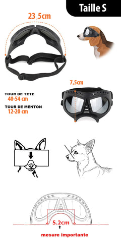 lunette-chien-moto-taille-s