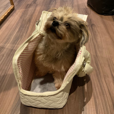 Sac transport petit chien