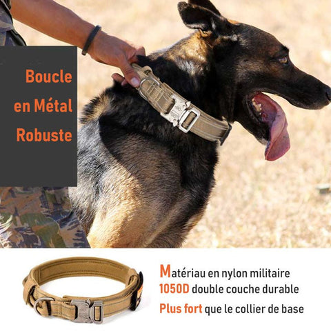 Collier Tactique Chien & laisse chien (OFFERT)