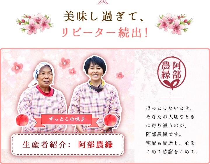 【和梨の予約】福島の完熟梨　幸水2ｋｇ（6～8玉）　ギフト・贈答用に【2023年8月下旬～9月中旬お届け予定】なし・ナシ