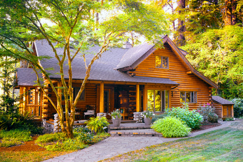 homes that blend with nature