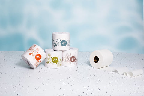 Recycled Toilet Paper Online