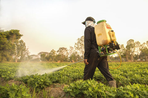 Man spraying crops with pesticides 