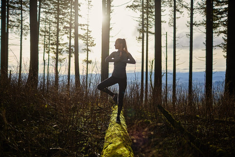 Forest Meditation 