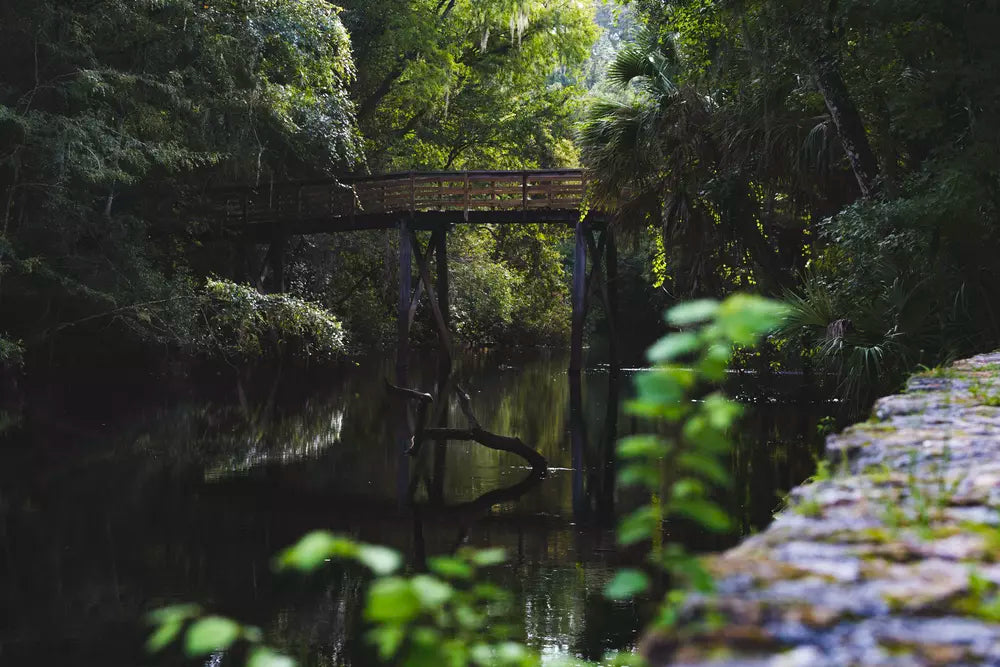 Hillsborough River State Park