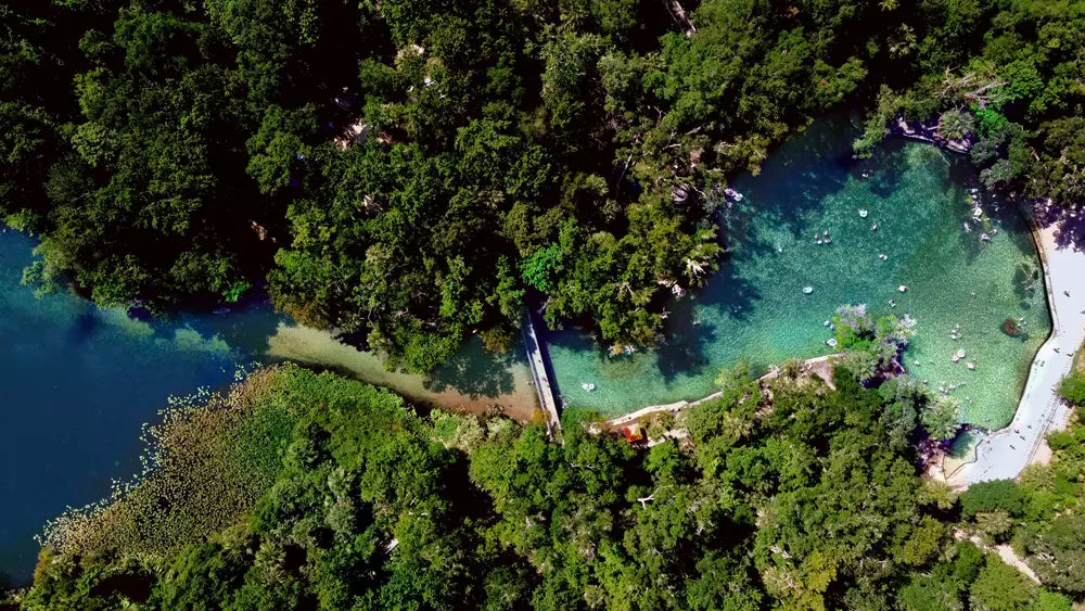 Wekiwa Springs