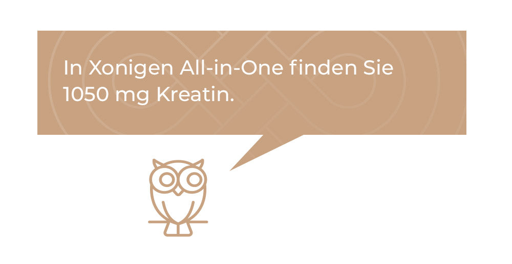 In Xonigen All-in-One finden Sie 1050 mg Kreatin.