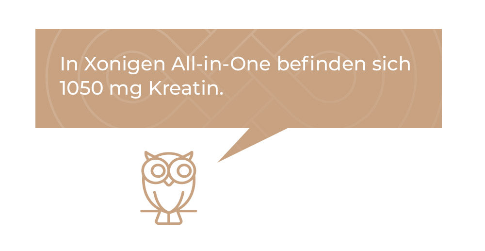 In Xonigen All-in-One befinden sich 1050 mg Kreatin."