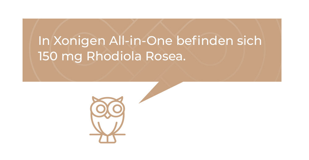 In Xonigen All-in-One befinden sich 150 mg Rhodiola Rosea.