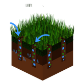 pngtree-lawn-aeration-process-vector-grass-png-image_5066425.png__PID:6a87c514-557a-4e84-b84e-4892324d02fa