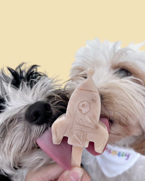 Scarily realistic dog popsicles sold in S'pore shop -  - News  from Singapore, Asia and around the world