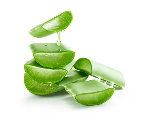 What is Aloe Vera? - Information & uses