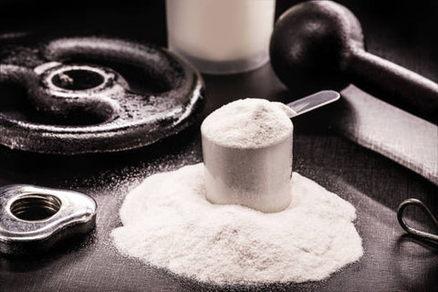 What is Casein?  - Information & uses