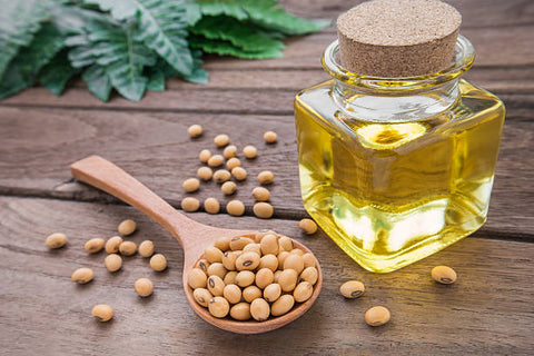 What is Soy or Soybeans? - Information & uses