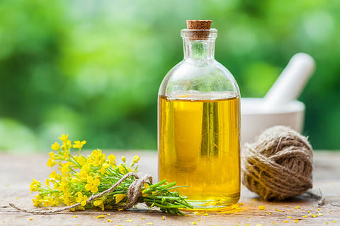 What is Canola Oil? - Information, uses & side effects