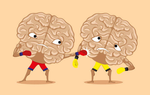 The Battle in Our Brains