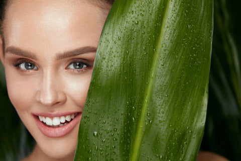 Biotique Bio Coconut Cream: Embrace Skin Brightening with Nature's Nourishment