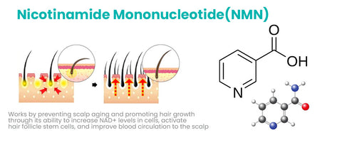 Mormuem™ ScalpReboost NMN Hair Growth Roller