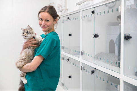 student veterinary nurse
