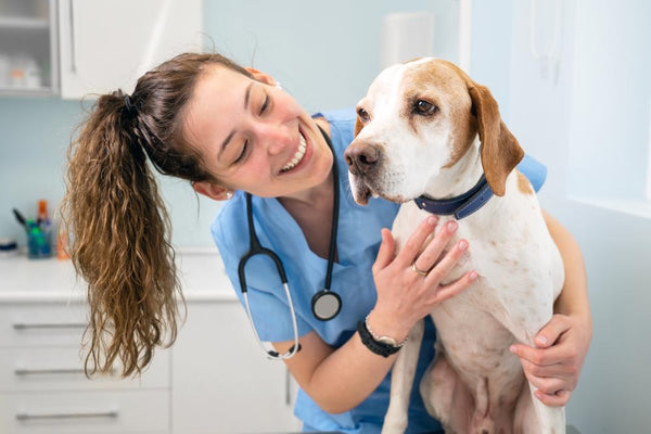 nurse-with-dog