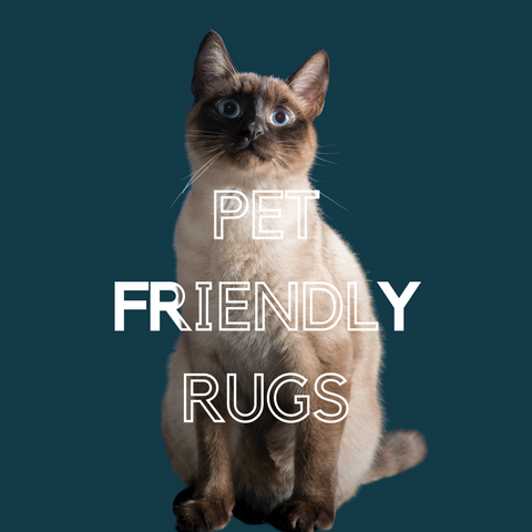 https://cdn.shopify.com/s/files/1/0621/1675/7561/files/PET-FRIENDLY_RUGS_480x480.png?v=1682510748