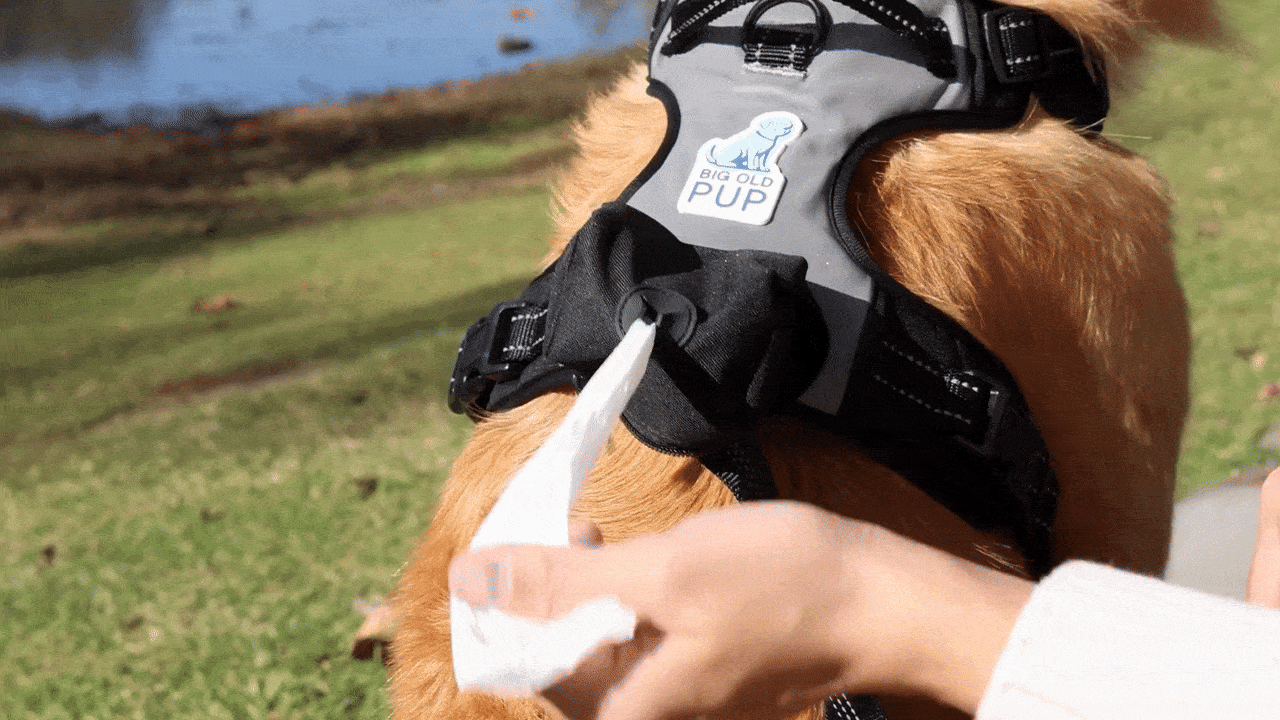 Untitleddesign8-ezgif.com-optimize.gif__PID:1e19845b-3676-4a26-942c-bedaab268315