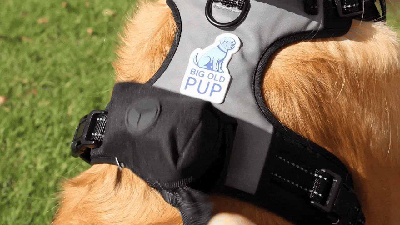 Untitleddesign9-ezgif.com-optimize.gif__PID:7607dbaa-0b61-460b-bb91-c624865e80df