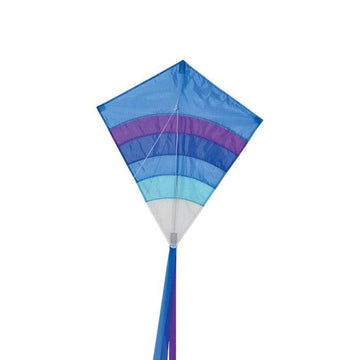 Large Flying Fish Kite - Cool Orbit