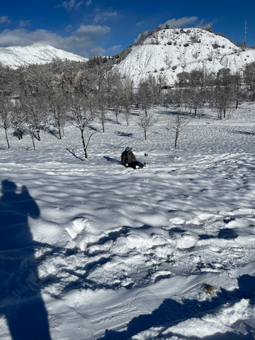 Durango Dog Park Sledding