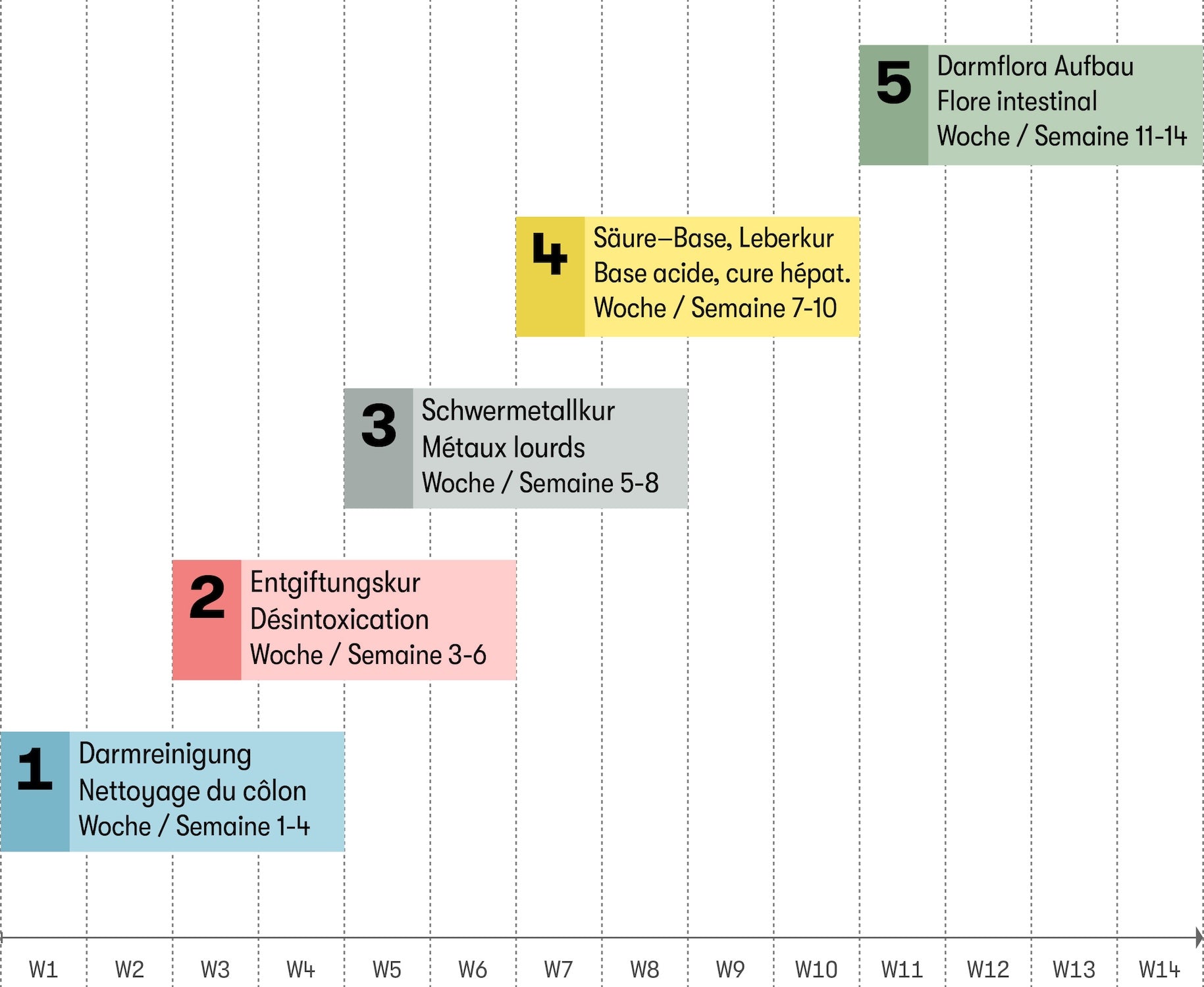 Jorinde 14-Wochen-Vollprogramm