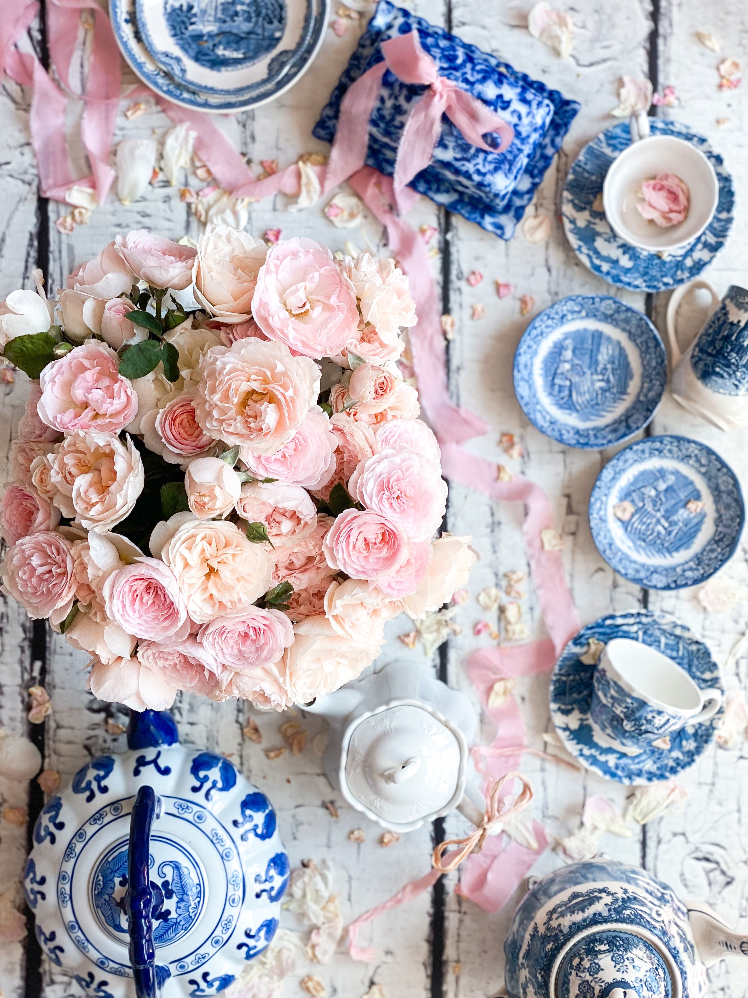 Blush Roses and Chinoiserie Gallery Wrapped Canvas