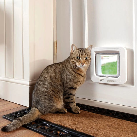 Door Cat Flap