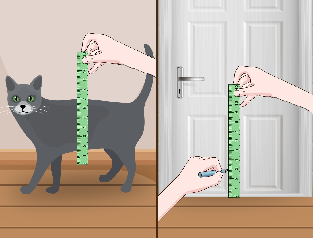 Measuring cat for cat flap