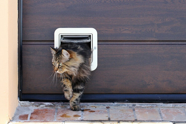 Fitting a cat flap