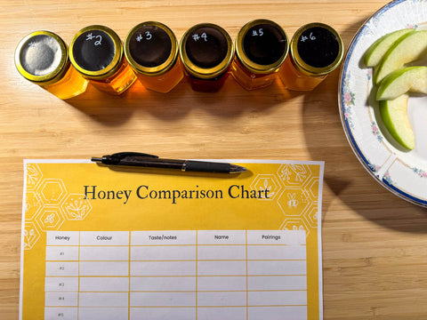 An overhead view of 6 small jars of honey, a paper titled "honey comparison chart" and part of a plate with slices of green apple.