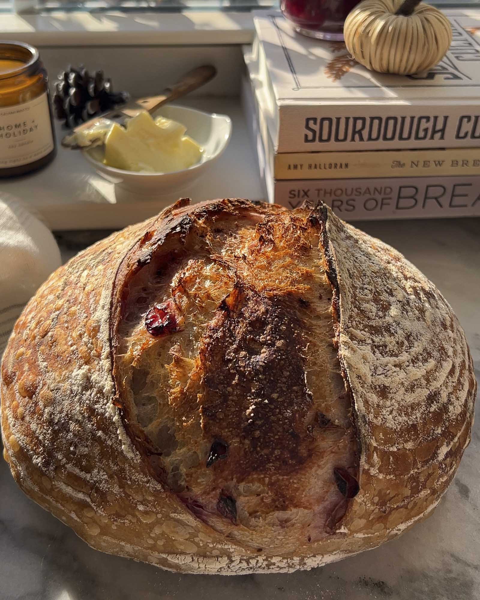 Cranberry Sourdough Bread