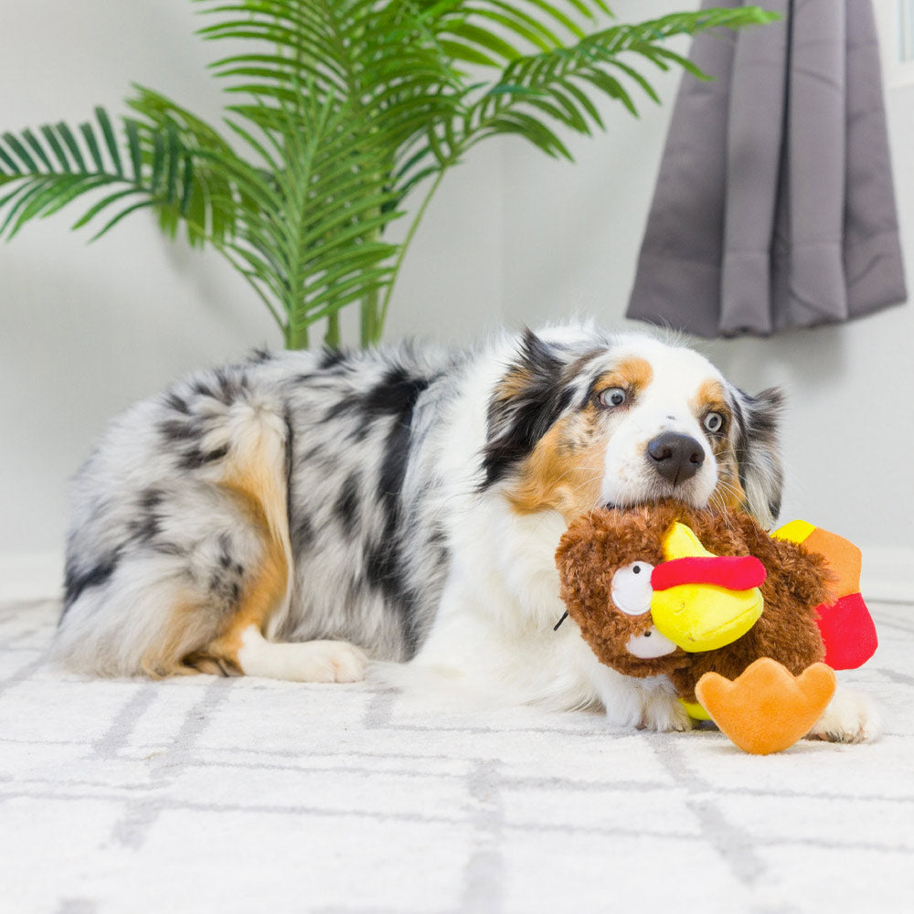 Wishbone Turkey Plush Dog Toy