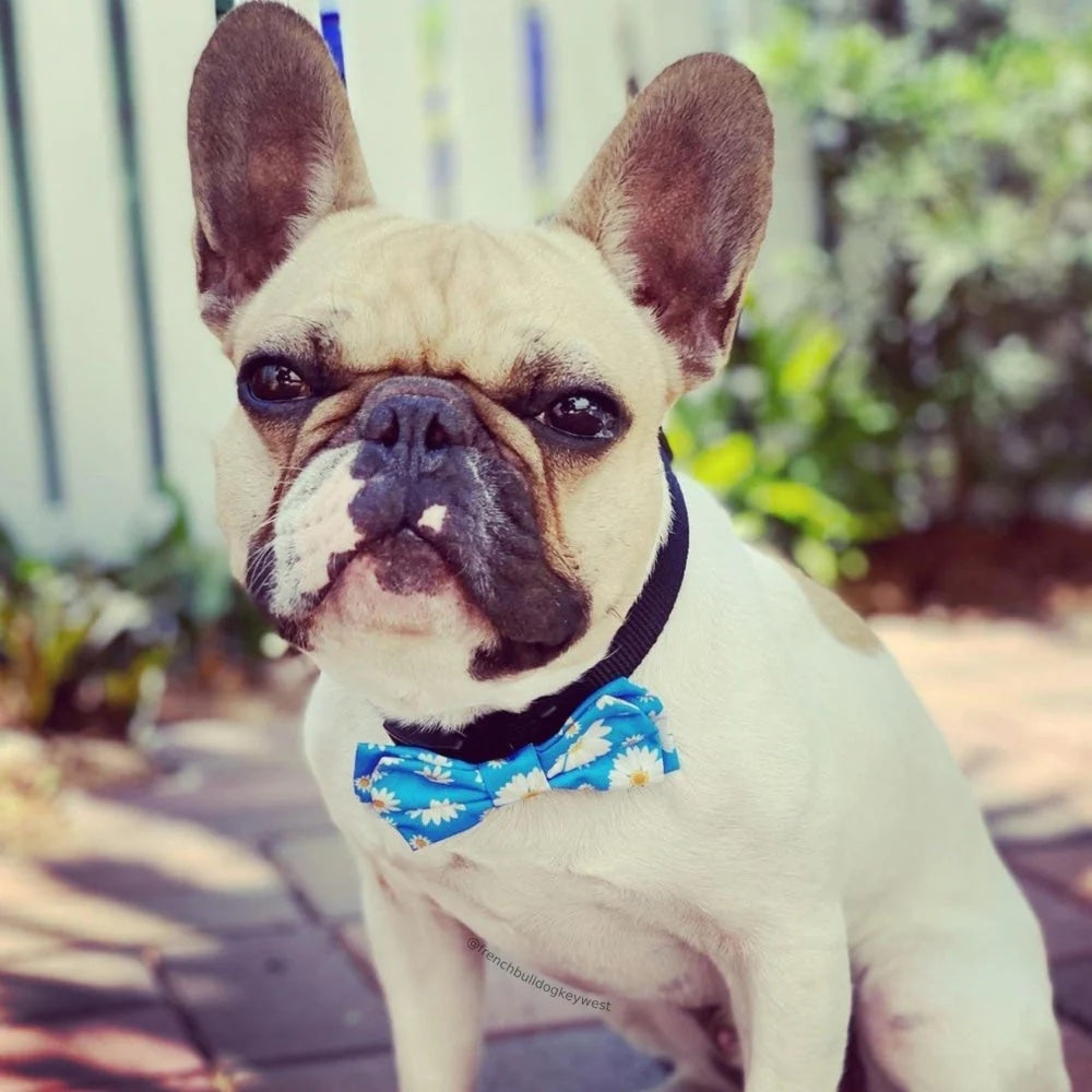 Flower Child Bow Tie