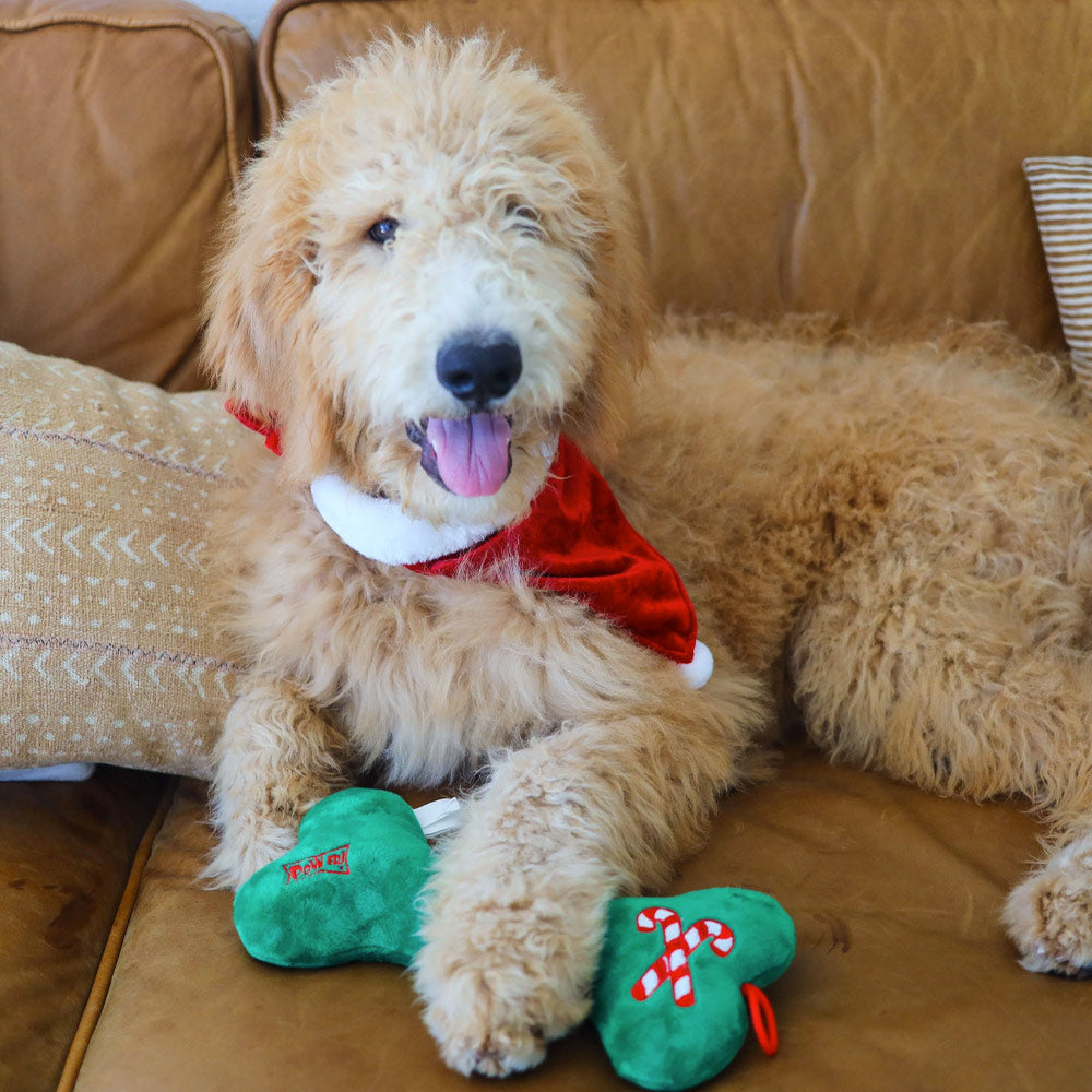 Santa's Suit Bandana