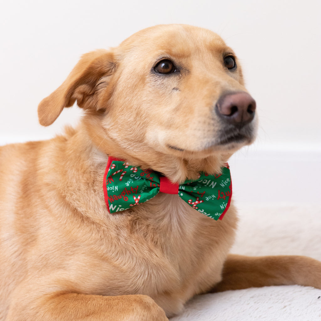 Huxley & Kent Bow Tie in Leaves & Nuts Small