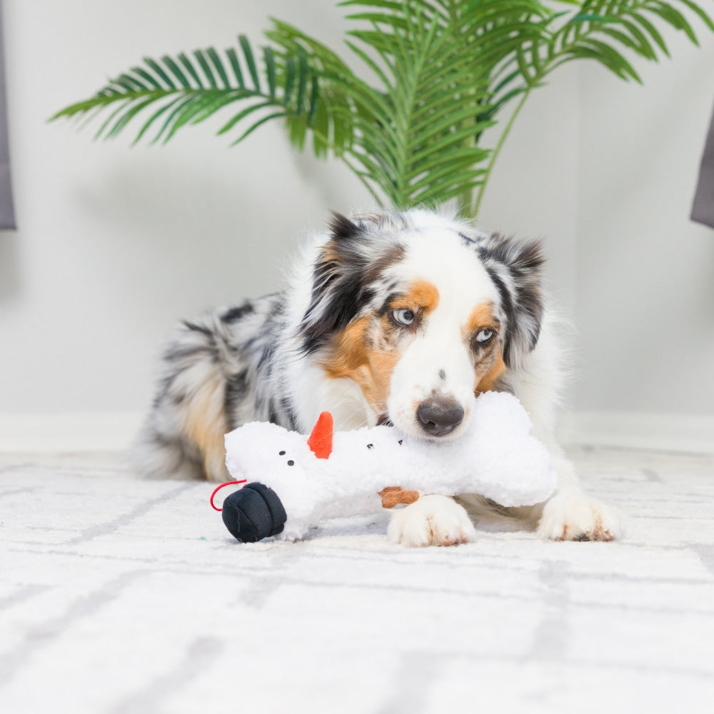 Our Tester Dogs Loved This Futuristic Toy, And It's On Sale